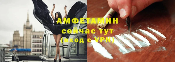 хмурый Алзамай