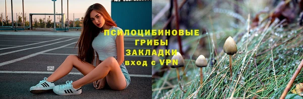 а пвп мука Алексеевка